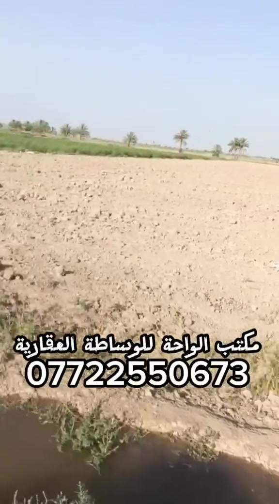 للبيع للبيع
٧ دونم طابو زراعي سند ٢٥ تحويل بسم المشتري ع طابو بعقوبة
الواجهه ٧٠
نزال ٢٥٠
 ارض خصبه جدا تصلح للزراعة او حقول او بحيرات اسماك ....
العنوان ديالئ خان بني سعد خلف قرية خلوف متوفر ماء سقي شتا وصيف كهرباء قريبة عليها
للاستفسار مكتب الواحة للوساطة العقارية الرقم اتصال او واتساب 
***********
