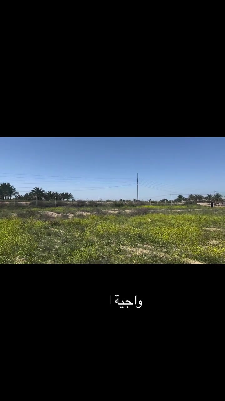 ابو غريب الشيحه • ٢ دونم • طابو زراعي