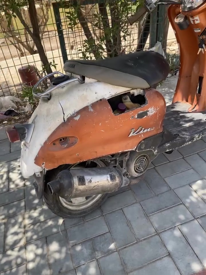 السلام عليكم دراجه عبد الحليم نضيفه شلعه معدل دراجه بدون كهربائيات السعر ٢٥٠ وبيهه مجال قليل مكان كربلاء حي القادسيه لاستفسار ***********
