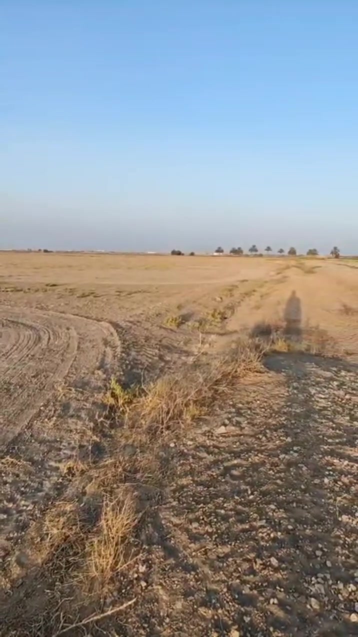 10 دونم سند مستقل طابو زراعي على طابو ابو غريب المصالحة وطجاج مقابيل مجمع سبع البور السكني للبيع للاستفسار تصال على رقم ***********
