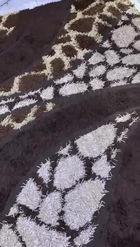 زولية تركية • نضيفه • ٢٫٥م×٣٫٥م
