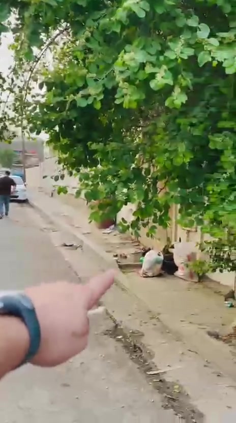 بيت للايجار