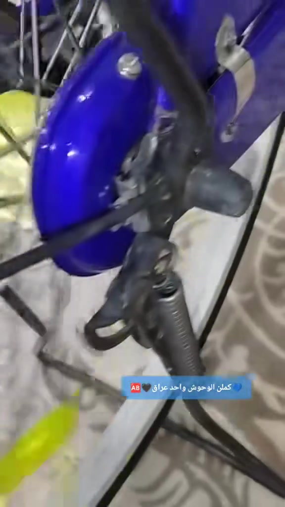 الحلال • واتساب • خاص