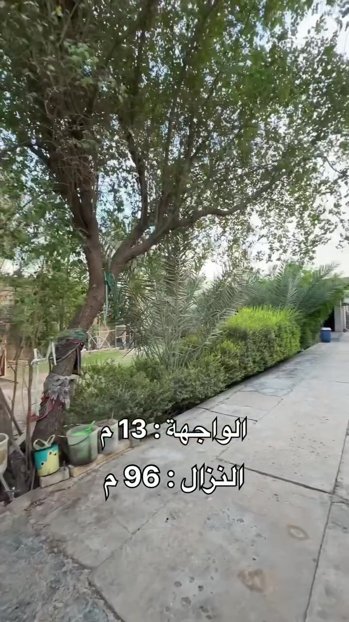 ‭***********‬
