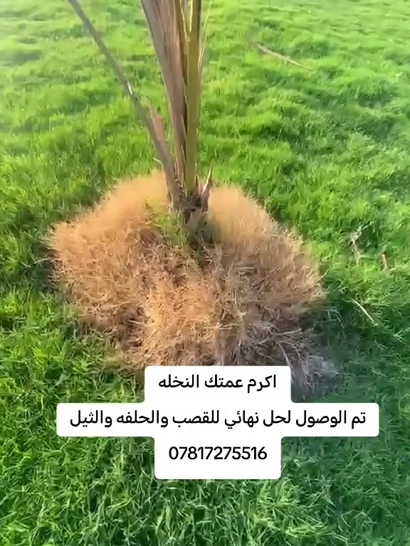 مكافحة أدغال • يصل للجذور • توصيل محافظات