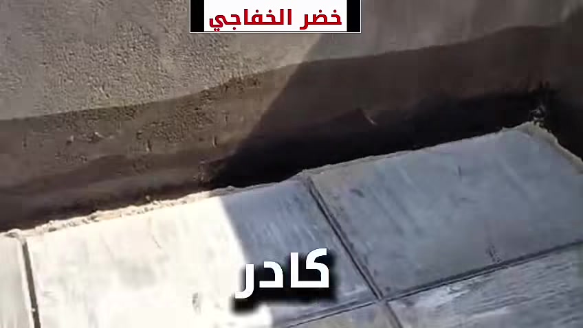 ***********🔧 يا الله… تنفيذ جميع أعمال السطوح
كرَسْتة – عمل بالمتر – تنظيف – فلانكوت – زفت – بناء – مزيچ – ماستك – آيلون
📝 ملاحظة: شتايكر السماوة – شرط فحص العمل من مهندس
💰 أسعار مناسبة

📍 الموقع: الناصرية
📞 للاستفسار مراسلة أو اتصال: ***********

🤲 والتوفيق من الله
