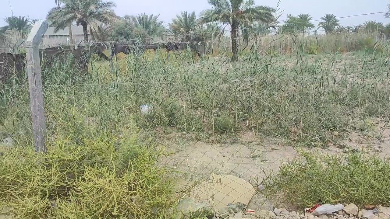 قطعه ارض زراعيه للبيع في   منطقة البوحمير قريب جدا على الشارع العام الرابط بين الورديه والبوحمير  مساحتها 800 متر طابو زراعي سند 25 مفوض بالطابو باسم المالك نفسه تحويل مباشر
يالله عرضنا مميز لهذا اليوم 

قطعه ارض زراعيه للبيع في   منطقة البوحمير قريب جدا على الشارع العام الرابط بين الورديه والبوحمير  مساحتها 900متر

وايضا بصفها  1000 متر يعني تصبح المساحه 1900 متر لنفس 

 طابو زراعي سند 25 مفوض بالطابو باسم المالك نفسه تحويل مباشر 

تحتوي على كافة الخدمات تبليط مجاري كهرباء ماء عرض الشارع 12 متر 

القطعه مسيجه BRC

 سعر ال900 متر 60 وبيها مجال 

لليرغب بالشراء مراجعة مكتب عقارات حسين المعموري الكائن في البكرلي قرب جامع سلمان المحمدي على اليمين 

او الاتصال على الرقم *********** او  واتساب
