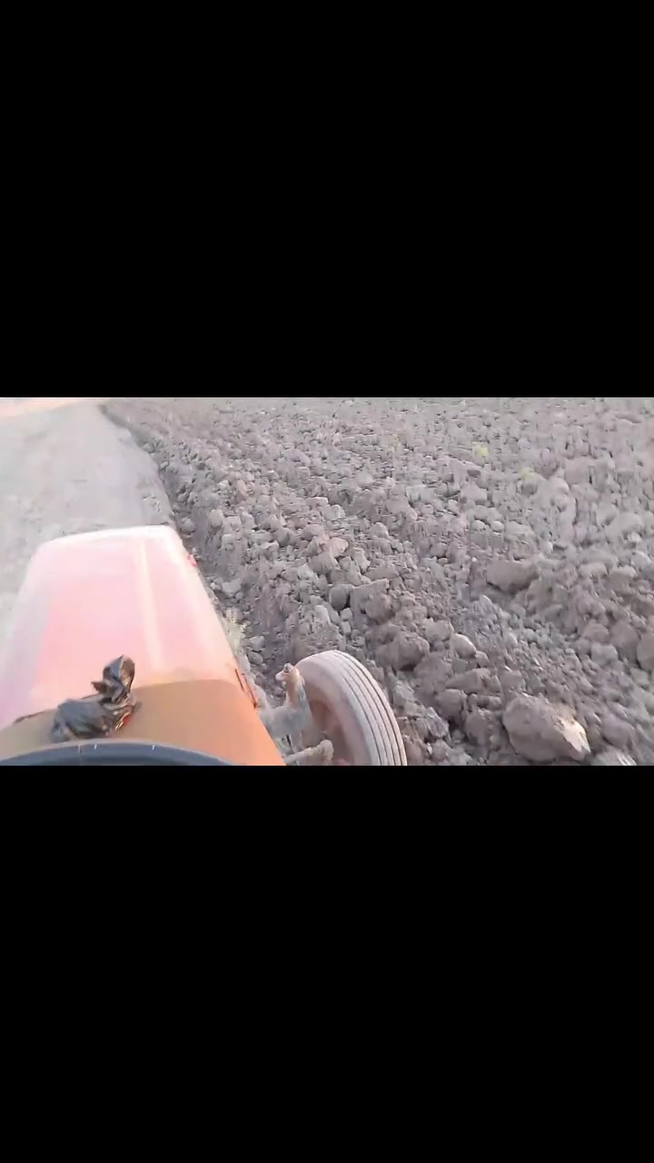 سلام عليكم مكينه عنتر للبيع مديل 86 بدون رقم  مكينه جاهزه من كلشي محرك كير جهاز هودرليك باور كلشي شقال تايرات حاليآ جدد  سلف و باتري وكهرابائيات جدد مكينه جاهزه للعمل مكان ذي قار قضاء الغراف ‏‪***********‬‏
