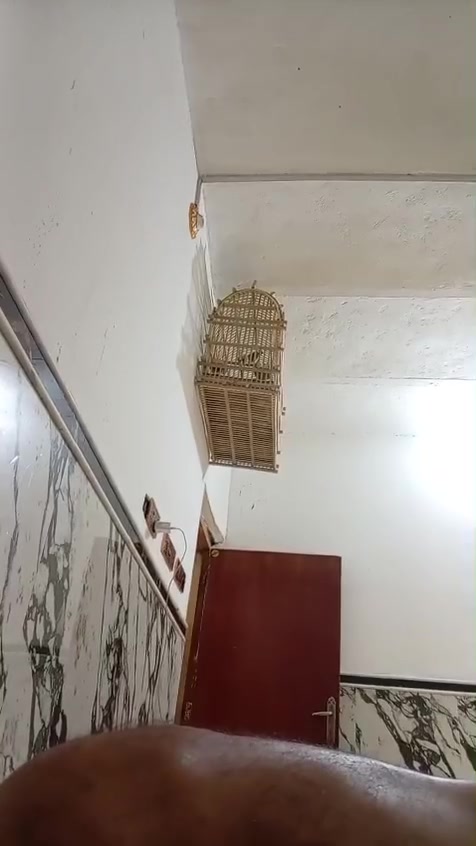 جدد كلهم • شرط الفحص