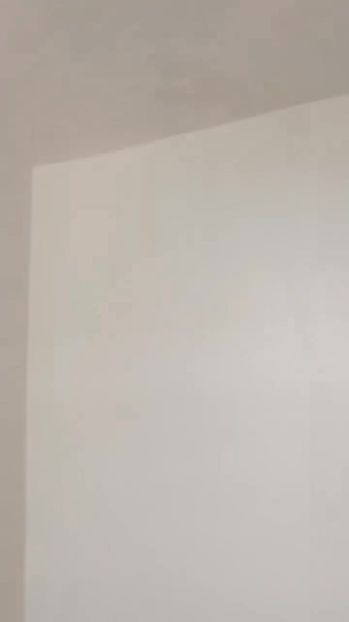 لبخ جص • بورك • متفرغ