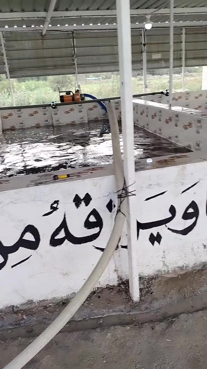 اسماك الرحمن • ناحية الإمام • تجهيز مناسبات