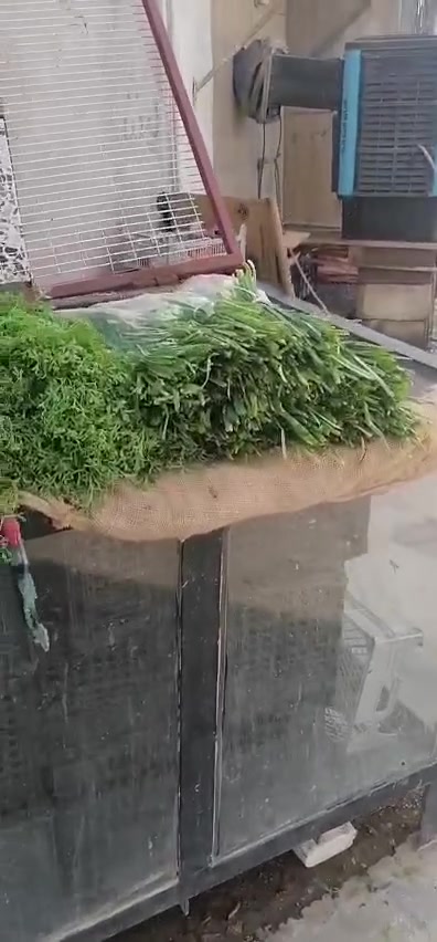 مسواك جديد • تشكيلة مميزه • توصيل