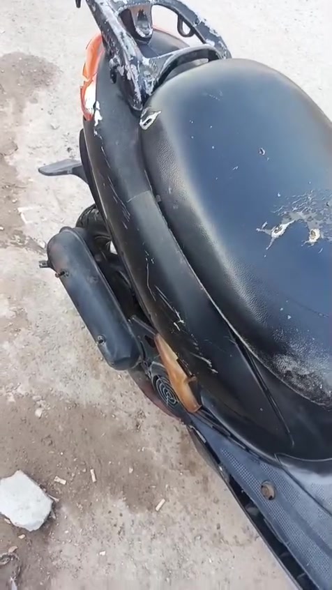 عصفوريه • مجفته • اوراق