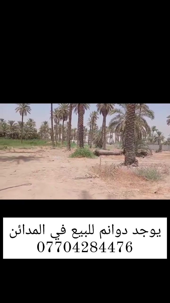 سلام عليكم يوجد دوانم للبيع في المدائن منطقه الجعاره (طابو ملك صرف ) 
وجه الدونم 45 تبعد عن سده الجعاره ونهر دجله 100متر
 من خدمات (كهرباء وشارع 7متر قشط)
سعر الدونم 285وبي مجال بسيط #

لتواصل ,:***********

***********
