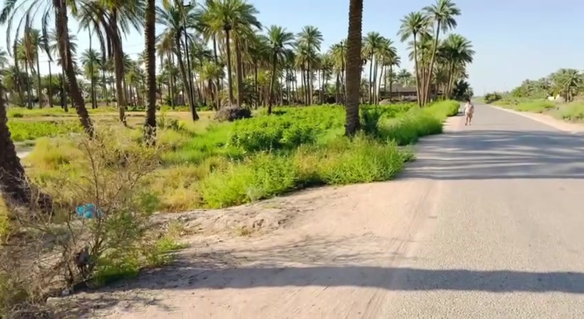 سلام عليكم وين اليدور مساحات جبيره  وخضراء 
😍😍 
نص دونم للبيع 
الواجهيه/٢٥
النزال / 55
التفاصيل 
يوجد ماء + كهرباء+ تبليط + مدارس 
طابو زراعي سند ٢٥  مداور مباشر
العنوان الحله مركز المدينه خلف معمل الغاز 

للاستفسار الاتصال على الرقم
📲 
*********** 
***********

#ملاحظه لمــــــن يــــــرغب فــــــي عــــــرض عقاره طابــــــو صــــــرف او زراعــــــي او تجــــــاري يرجــــــى  مراســــــلتنا
