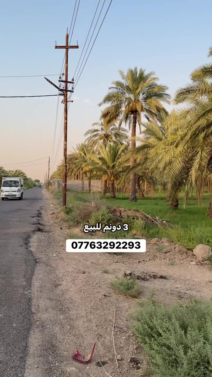 السلام عليكم 3 دونم للبيع 
طابو ملك صرف المدائن شارع سيد علي 
مباشر عله وجه شارع سيد علي 
الواجهه 45 خدمات كامله 
للاستفسار الاتصال ***********
