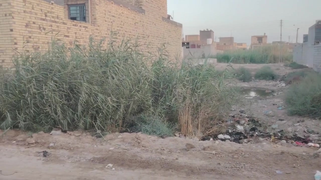 سلام عليكم
توجد قطعة أرض زراعية للبيع مساحتها ٢٥٠ متر اول نزلة بداية حي التجار صايرة بشارع فرعي قطعة حلوة وممتازة الشراي يتصل على الرقم ***********
