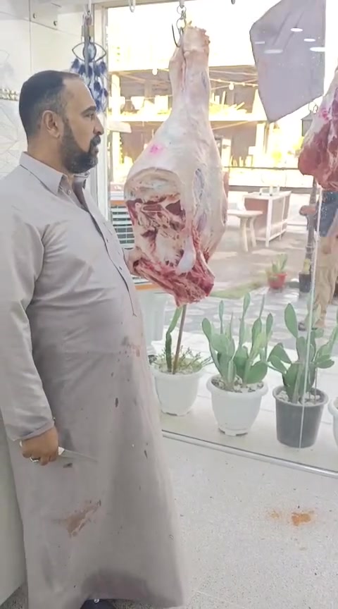 بسم الله الرحمن الرحيم يالله
ليوم الثلاثاء 15/9/2026 يعلن مطعم الماجد و قصابه الماجد عن بيع الحم عجل عراقي 
شرفونا وگل الهلا بيكم 
عنوان المسيب حي المعلمين مجاور اسواق الباشا   
***********
