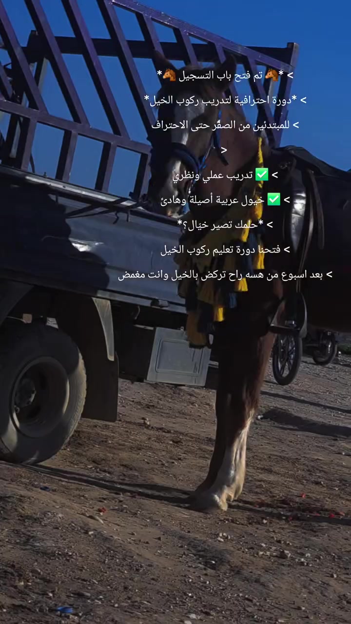 > *🐴 تم فتح باب التسجيل 🐴*
> *دورة احترافية لتدريب ركوب الخيل*
> للمبتدئين من الصفر حتى الاحتراف
> 
> ✅ تدريب عملي ونظري
> ✅ خيول عربية أصيلة وهادئ
✅شهادة في نهايتة الدوره 
>  *حلمك تصير خيّال؟*
> فتحنا دورة تعليم ركوب الخيل
> بعد اسبوع من هسه راح تركض بالخيل وانت مغمض 
وكذالك يتوفر ركوب يومي واشتراك شهري 
جلسات تصوير  
تدريب تعليم 
بكل امان واتقان
اسعار مناسبه جدا 
العنوان ديالى خانقين  نهايته جبراوه 
***********
