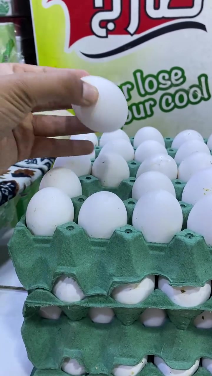 بيض • خشن • توصيل الرميثه
