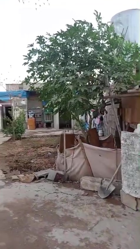 بيت للبيع تجاوز ابص الزراعي متكون من غرفتين نوم وااستقبال مع مطبخ هول وصحيات واحوش كبير مساحته ٢٠٠::: أو ٢٠ متر موقع البيت واسطي سايدين مال مركز شرطة العداله فرع ماركت ماشاءالله
