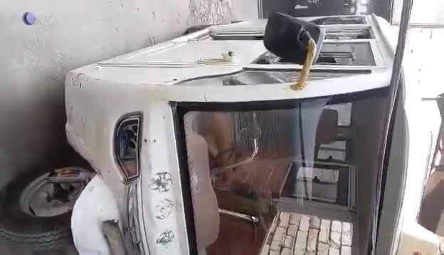تكتك • صيني • كامله اوراقه