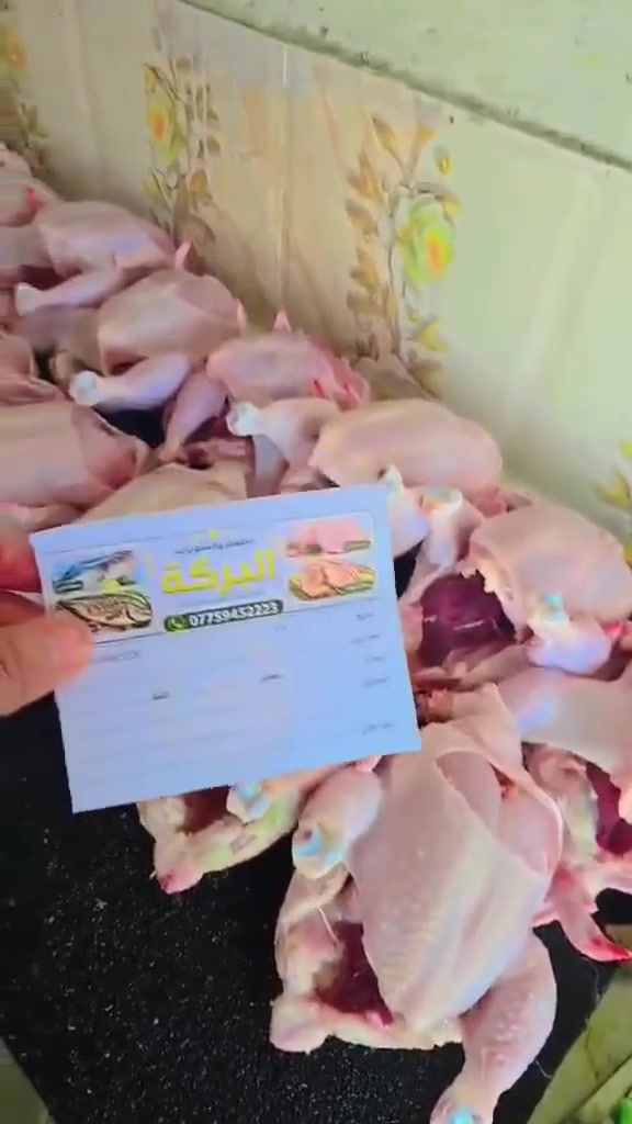دجاج البركه طازج ويوم بيومه🌿
للحجز ***********
 ٣ دجاجات ب ٢١ مع التوصيل 
دجاج حي فرش ٣٧٥٠ 
افخاد فرش ٥٥٠٠
صدرمسحب فريش ٧٥٠٠
صدر بالعظم فريش ٥٧٥٠ 
اجنحه فرش ٥٥٠٠
حواصل ٢٠٠٠
رجل ألف 

سمك حي ناعم ٤٧٥٠ 
سمك خشن حي ٥٧٥٠ 

متوفر توصيل
