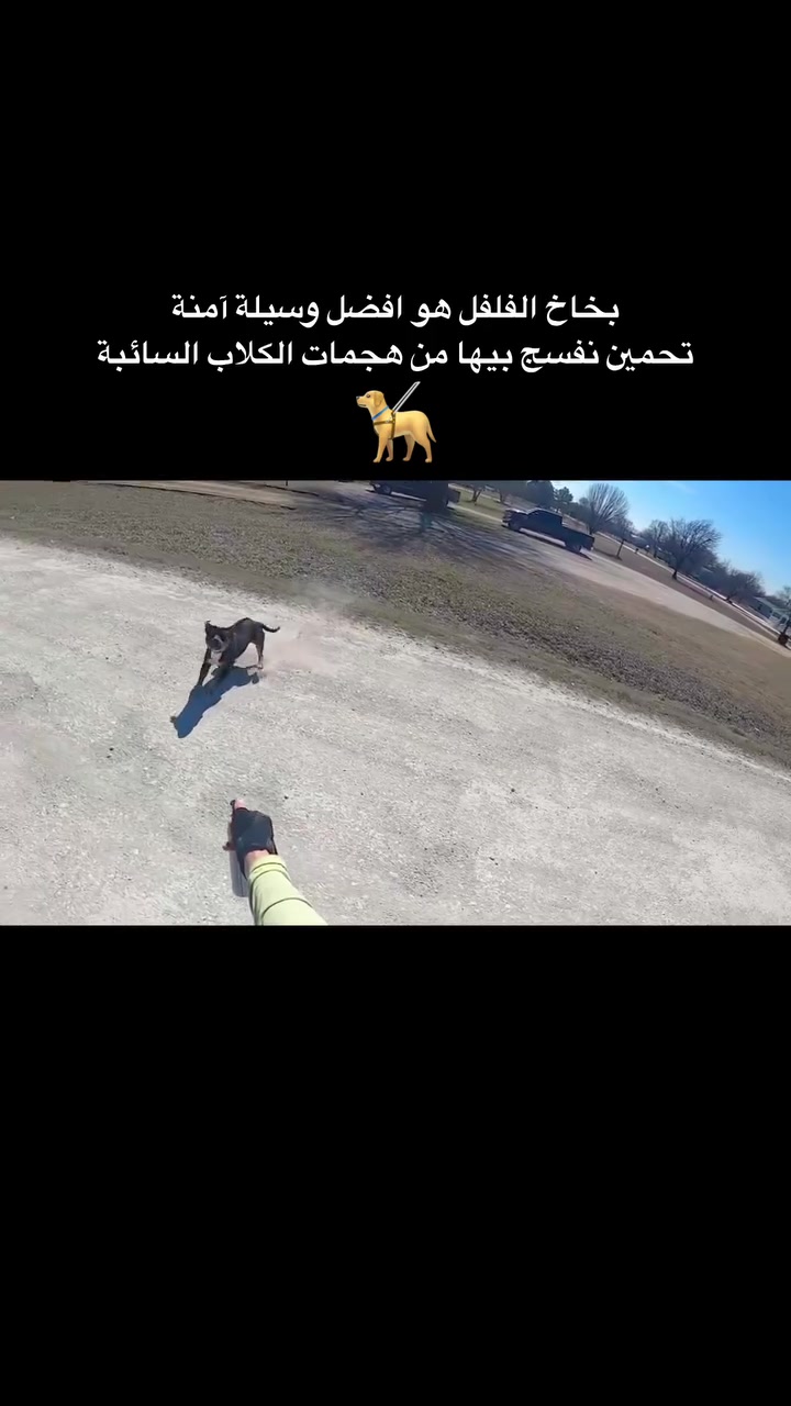 بخاخ فلفل • ضد الكلاب • حماية الأطفال