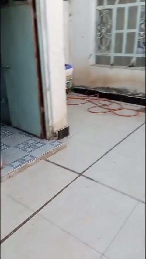 بيت 200 متر شارع حسينيه الرحمه بالجه اليمنى باقي التفاصيل داخل الفيديو.  سعر البيت 65 مع
‏‪***********‬‏

‏‪***********‬‏
بيت 200 متر شارع حسينيه الرحمه بالجه اليمنى باقي التفاصيل داخل الفيديو.  سعر البيت 65 مع
