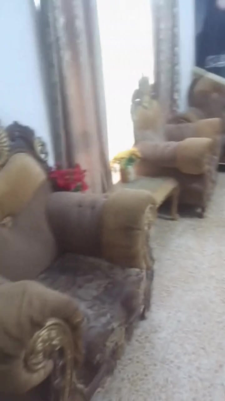 تخم للبيع سعره 150 وبي مجال ***********
