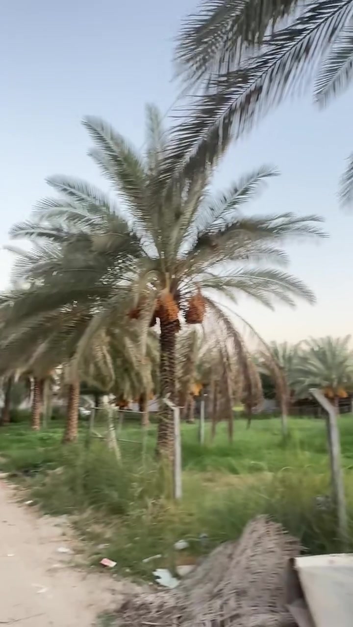 فرصة ذهبية لا تعوض في كربلاء المقدسة! 🏡✨
قطعة أرض واسعة ومميزة، مناسبة للسكن أو الاستثمار الناجح.
📍 الموقع: كربلاء - حي الإمامين
📐 المساحة: 1000 متر مربع
📜 النوع: طابو زراعي (سند 25)
💡 الخدمات: متوفرة بالكامل (ماء، مجاري، كهرباء)
💰 السعر المطلوب: 90 مليون دينار عراقي (قابل للتفاوض بحد معقول للجادين)
للاستفسار والحجز أو لمعاينة القطعة على الطبيعة، يرجى مراسلة الصفحة أو الاتصال على الرقم:
[***********]
