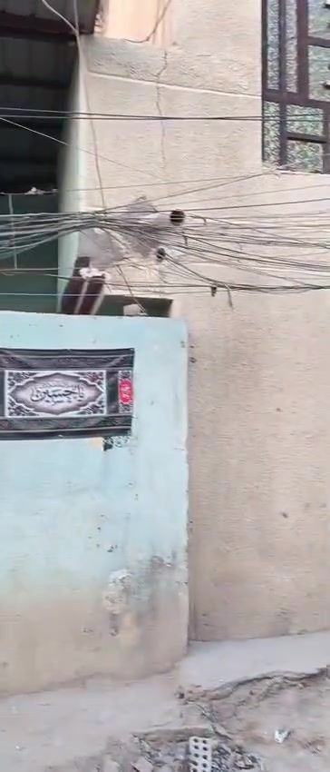 بيت مساحه 120 متر قاطين بناء بلوك القاط الأول سكف صب والقاط الثاني عكاده البيت نضيف وقريب ع لشارع العام والعماره الخضره للاستفسار مراجعة مكتب النرجس للعقار ***********
