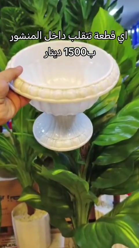 سلام عليكم سنادين بلاستك درجة اولى سعر جملة للاستفسار الرقم *********** وفي واتساب

