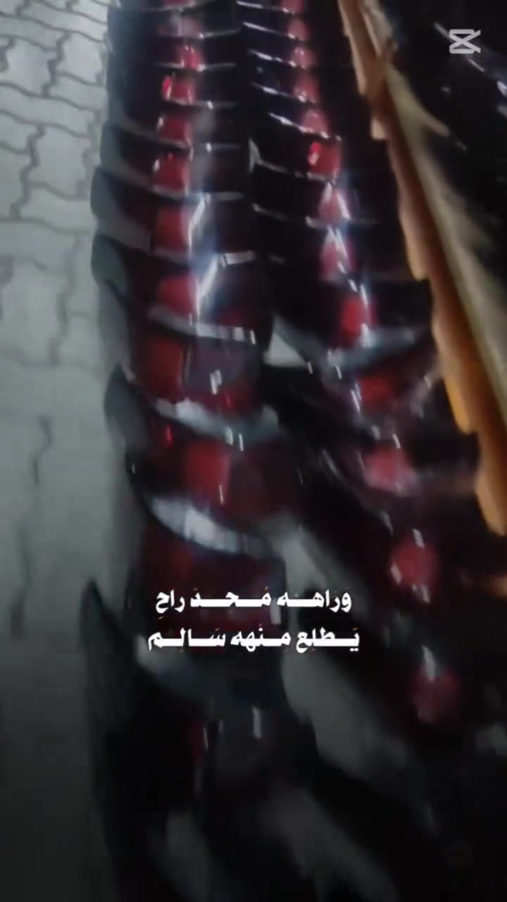 بك لايت سانتا كروز  امريكي تفصيخ
25  الف فقط 
*********** 
بغداد الامين الثانيه 
يتوفر توصيل لجميع محافضات العراق
