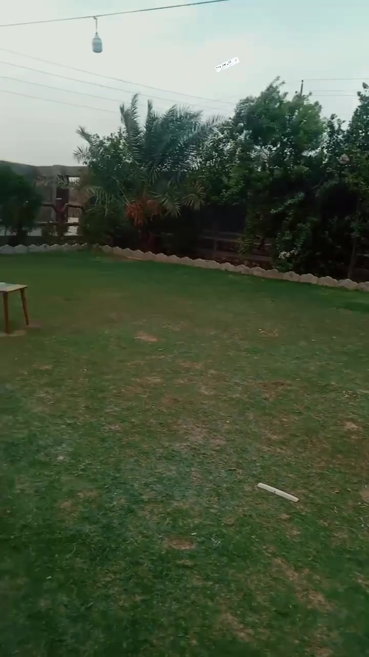 البغدادي • سنة ونص • أعمال حدائق