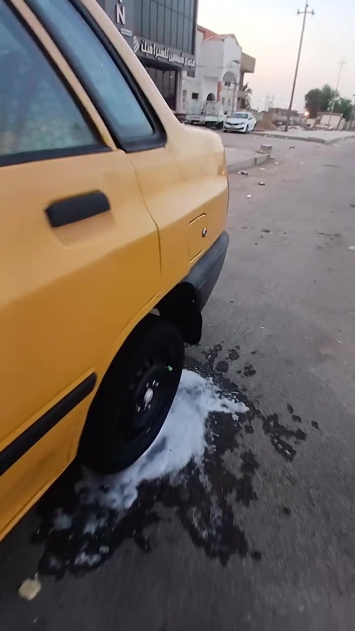 سايبا • ٢٠١٢ • ناصريه فضليه