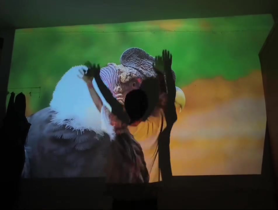 بروجكتر سينمائي • نضيف • النجف حي ابو طالب