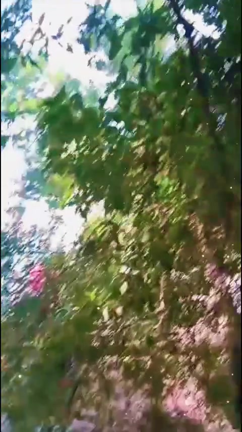 العشار • ٥٠٠م • ٣ غرف