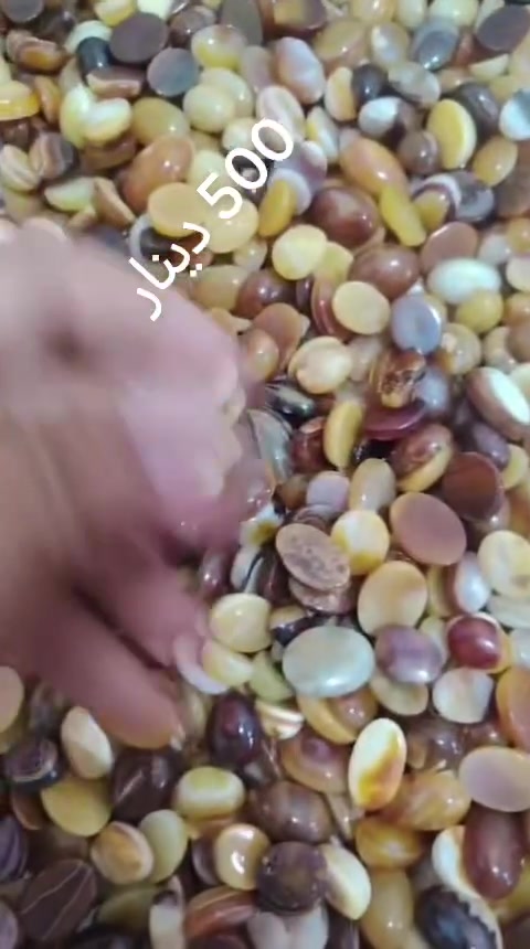 السلام عليكم كميه محدوده
*********** وات ساب
