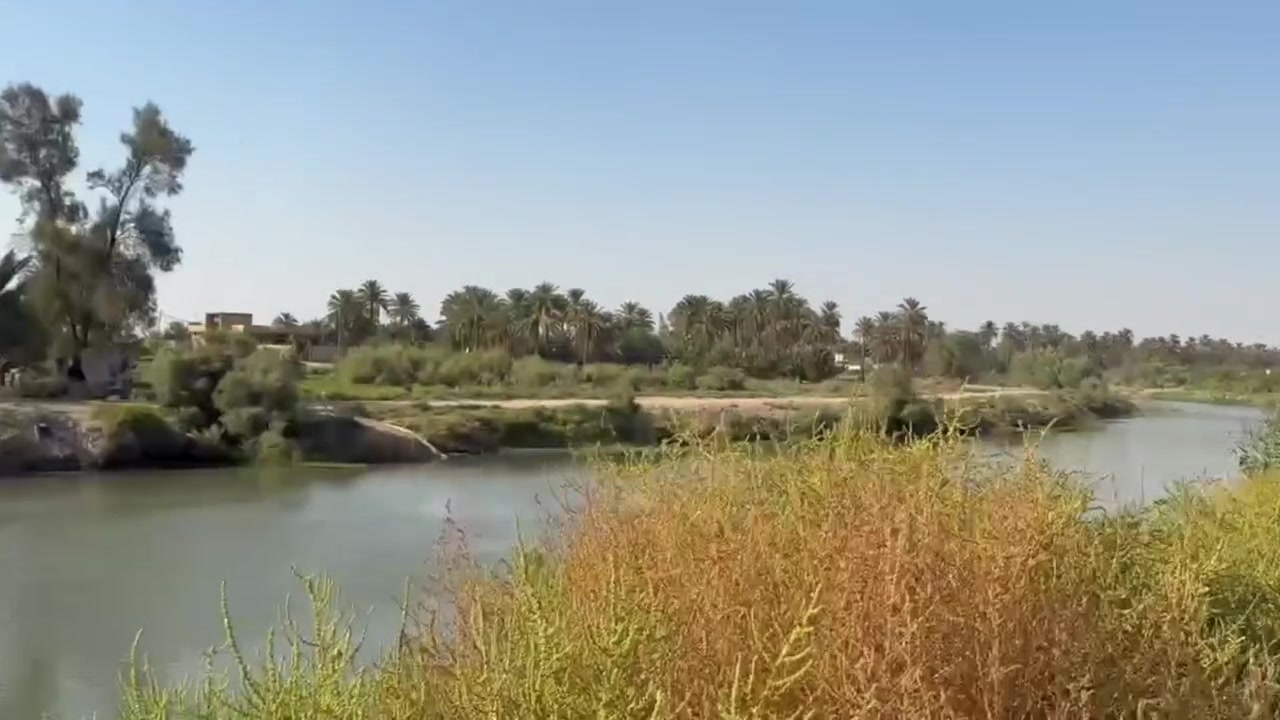 واجهة شط • ١١ دونم • ١٠٠ نخلة