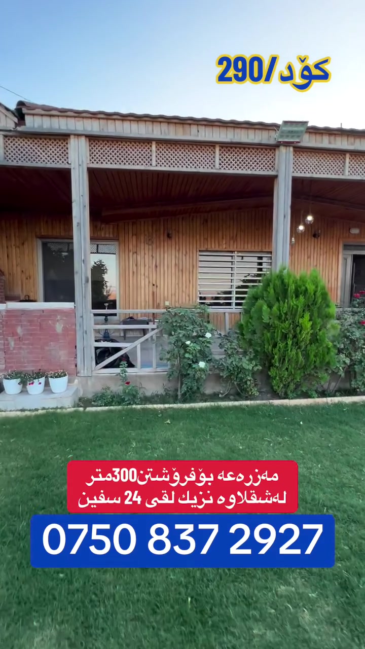 شقلاوه • ٣٠٠م • واتساب