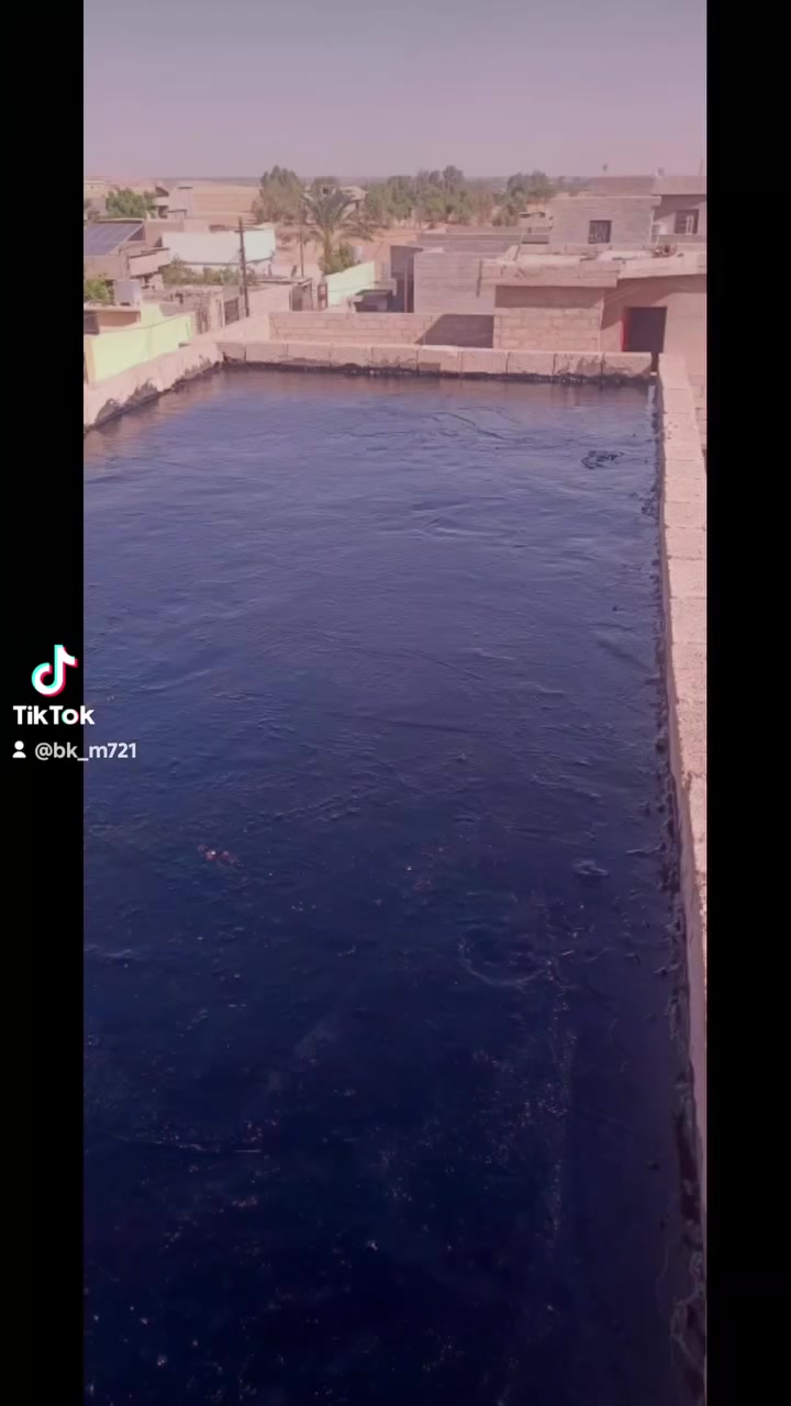 السلام عليكم اخوان حافظ على سطح بيتك من الرطوبة والأمطار
كادر اخوكم وخادكم (#بكر_فكرت_واخوانه) 
لاتحتار .... #لسناالوحيدين_ولاكن_الافظل
العنايه بالسطح تطبيق الاشتايكر
وصنايه الاشتايگر وقلع الاماستك القديم وإضافة ماستك جديد كوي واضافه 
تزفيت الاسطح مانع الرطوبة  
ماده الراف كوت للجدران 
...  
#يوجد_كادر_لبخ_البتلو_وتزفيته_
الاتصال والاستفسار
***********
