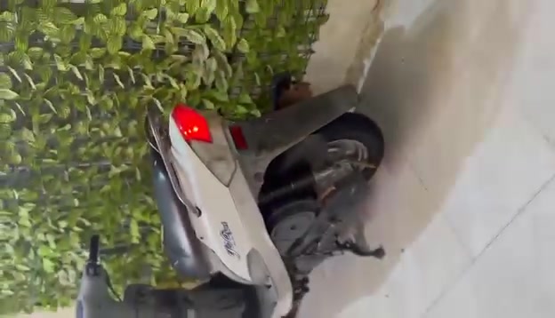 سلام عليكم قجمه صارله٧٠يوم طالعه رمبه كفاله عامه السعر 900قضاء المدينه ***********
