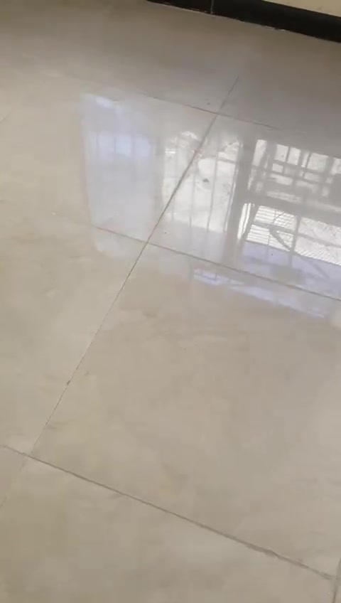 للايجار بالسيديه
مشتمل طابق اول
صاله وغرفه نوم وحده ومطبخ وخدمات كله مجددي نظيف وسطح باب خارجي منفصل 
***********
