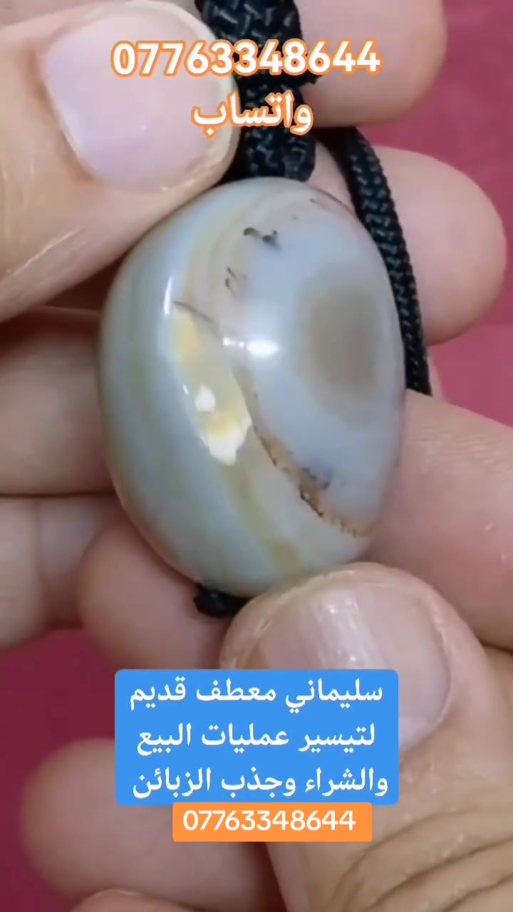 حجر سليماني • معطف مكشوف • توصيل