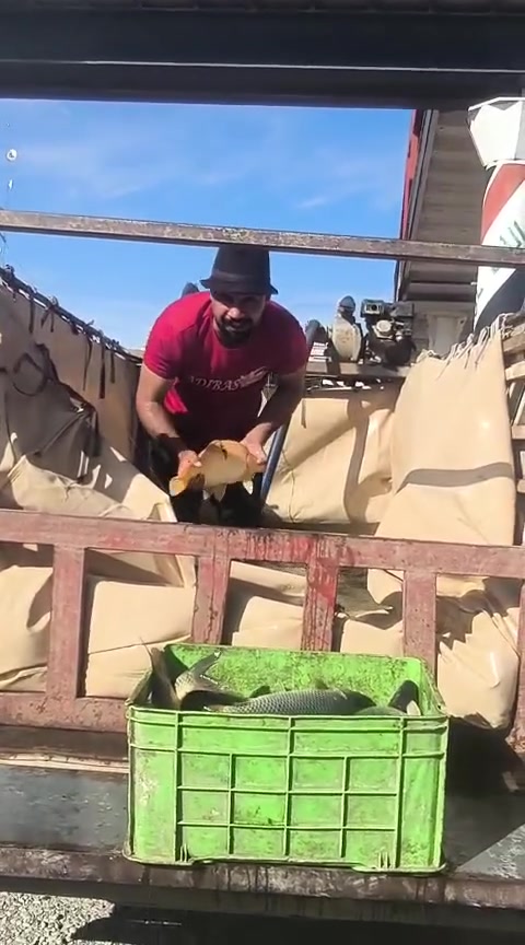 السمج الطيب • قريه الحود
