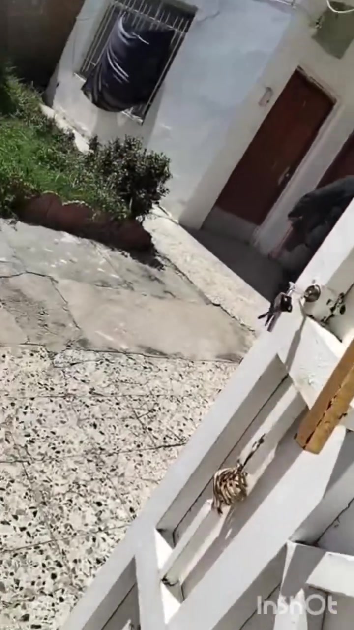 بيت مساحته ٢٢٠ مستعجلين على بيعته بالحريه قرب محلات السندباد وقرب مدرسة المومنات  الاتصال على الرقم
***********
