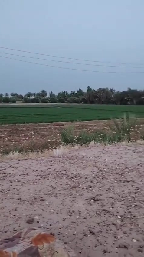سلام عليكم بيع مستعجل اربع دوانم سند مستقل طابو حق اتصرف وجهة 80 ماء اسالة كهرباء الكاع حيل حلوة في ابو اغريب اشيحة قرب جسر ماجد وجهة عشارع سعر ادونم 100 وبي مجال بيع سريع اشراي يتصل كدامهة محرم دونم***********
