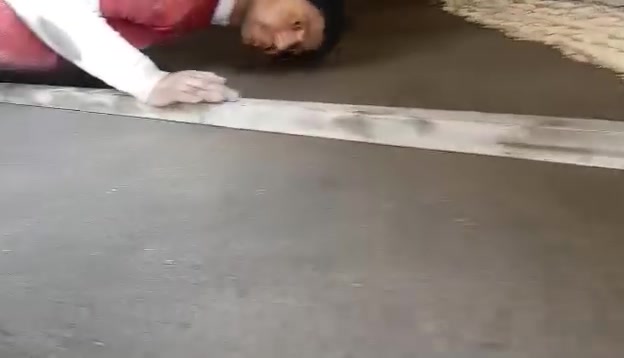 كادر لبخة • جص • نثر