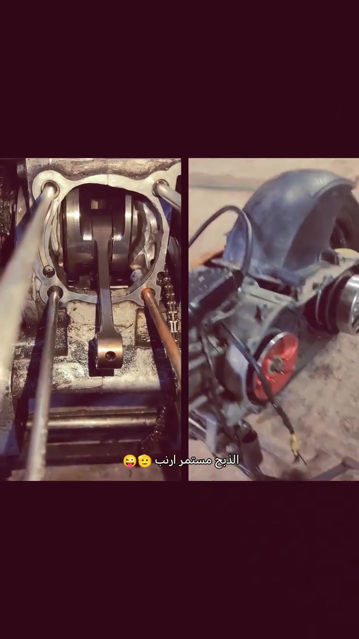 الدورة ابودشير • بوشة بستم بلادي ٦١ • كلجات رياضي